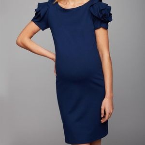 Pietro Brunelli Salisburgo Maternity Dress